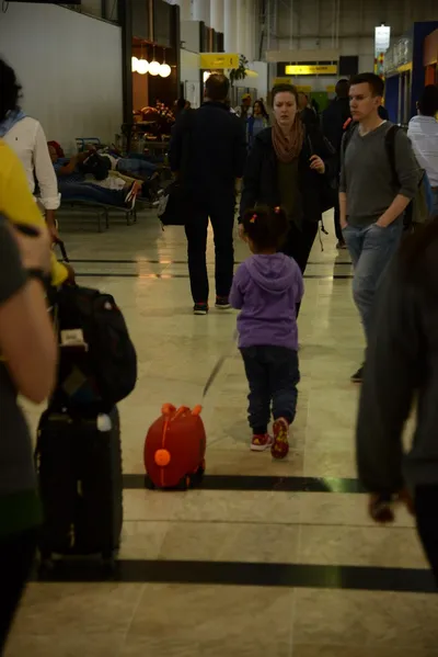 DSC_7461 (Large).JPG